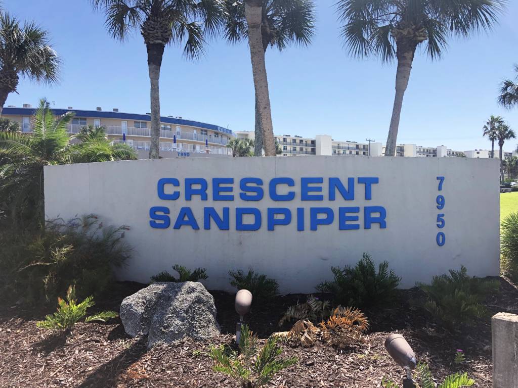 Crescent Beach Sandpiper